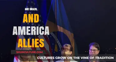 Brazil and America: Allies or Strategic Partners in the Americas?