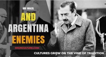 Brazil vs. Argentina: Rivals or Enemies in South American Politics?