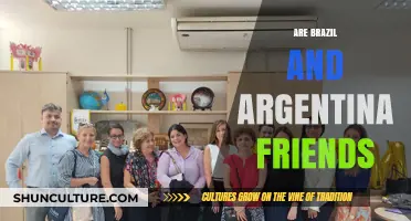 Brazil and Argentina: Rivals or Friends? Exploring Their Complex Relationship