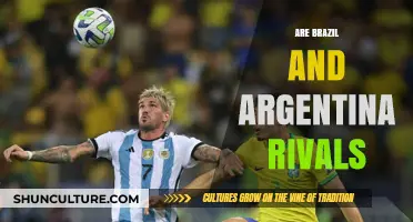 Historic Rivalry: Brazil and Argentina's Enduring Football Feud