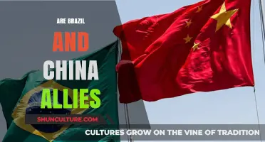 Brazil and China: Strategic Partners or Global Allies?