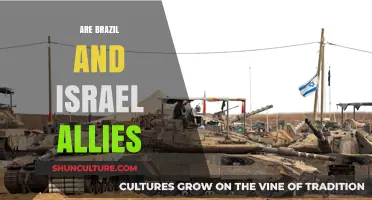Brazil and Israel: Unraveling the Complexities of Their Diplomatic Alliance