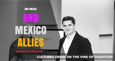 Brazil and Mexico: Allies or Competitors in Latin America?