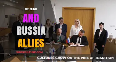 Brazil and Russia: Strategic Partners or Emerging Global Allies?