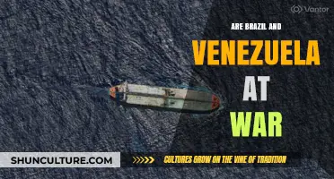 Brazil and Venezuela: Are Tensions Escalating to War?