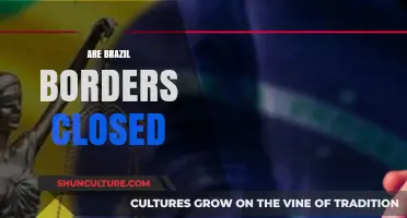 Are Brazil's Borders Closed? Current Travel Restrictions and Updates