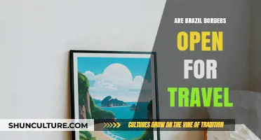 Brazil's Borders: Current Travel Restrictions and Entry Requirements Explained