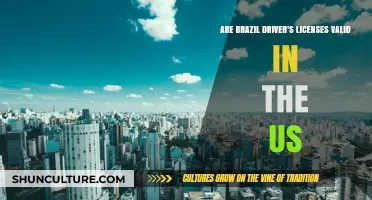 Are Brazilian Driver's Licenses Valid in the US?