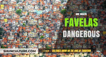 Exploring Brazil's Favelas: Unveiling Safety Myths and Realities
