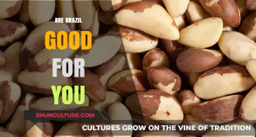 Are Brazil Nuts Healthy? Unlocking Their Nutritional Benefits and Risks