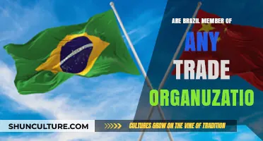 Brazil's Trade Membership: Exploring Its Global Economic Alliances