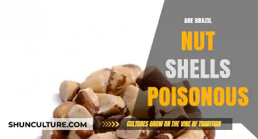 Are Brazil Nut Shells Poisonous? Uncovering the Truth and Safety Tips
