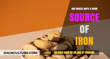 Brazil Nuts and Iron: Unlocking Nutritional Benefits for Health