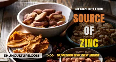 Brazil Nuts and Zinc: Unlocking Their Nutritional Benefits