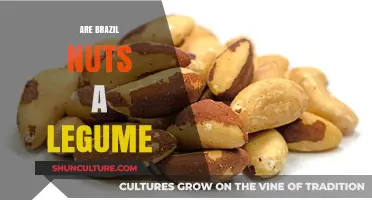 Are Brazil Nuts Legumes? Unraveling the Nut vs. Legume Debate