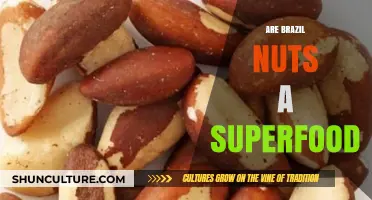 Brazil Nuts: Unlocking Superfood Potential and Health Benefits Explained