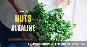 Are Brazil Nuts Alkaline? Uncovering Their pH Impact on Your Diet