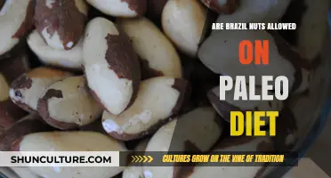 Can You Eat Brazil Nuts on a Paleo Diet? Find Out!