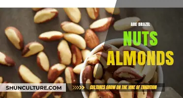 Brazil Nuts vs. Almonds: Unraveling the Nutty Confusion