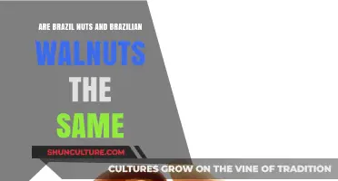 Brazil Nuts vs. Brazilian Walnuts: Unraveling the Nutty Confusion