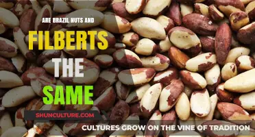 Brazil Nuts vs. Filberts: Unraveling the Nutty Confusion