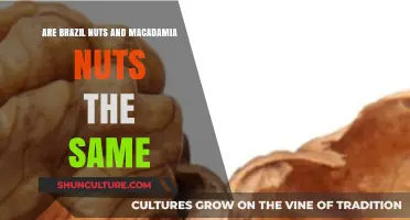 Brazil Nuts vs. Macadamia Nuts: Uncovering the Differences and Similarities
