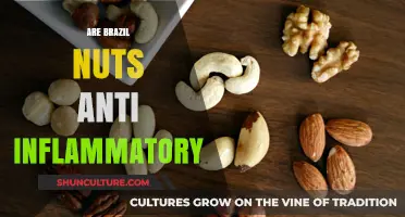 Brazil Nuts: Unlocking Their Anti-Inflammatory Potential and Health Benefits
