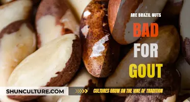 Brazil Nuts and Gout: Debunking Myths for Joint Health