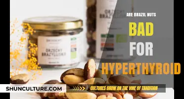 Brazil Nuts and Hyperthyroidism: Uncovering the Truth About Selenium