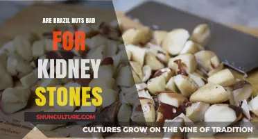 Brazil Nuts and Kidney Stones: Debunking Myths and Facts