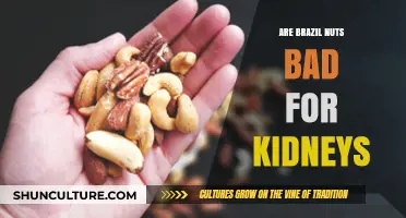 Brazil Nuts and Kidney Health: Debunking Myths and Facts