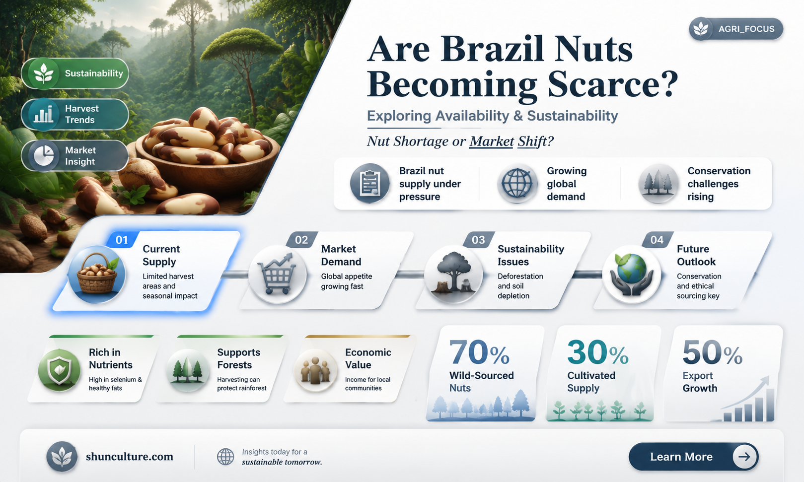 are brazil nuts scarce