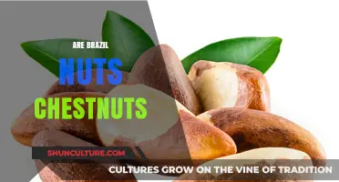 Are Brazil Nuts Chestnuts? Unraveling the Nutty Confusion
