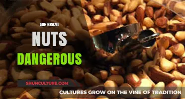 Are Brazil Nuts Dangerous? Uncovering the Truth About Their Safety