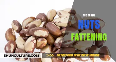 Are Brazil Nuts Fattening? Uncovering the Truth About Their Caloric Impact