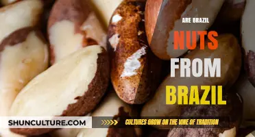 Are Brazil Nuts Truly Brazilian? Uncovering the Origin Mystery