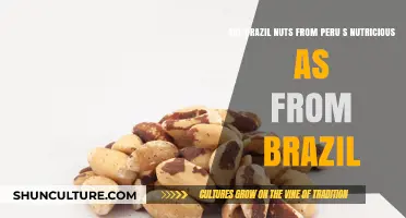 Peru vs. Brazil Nuts: Nutritional Comparison and Health Benefits