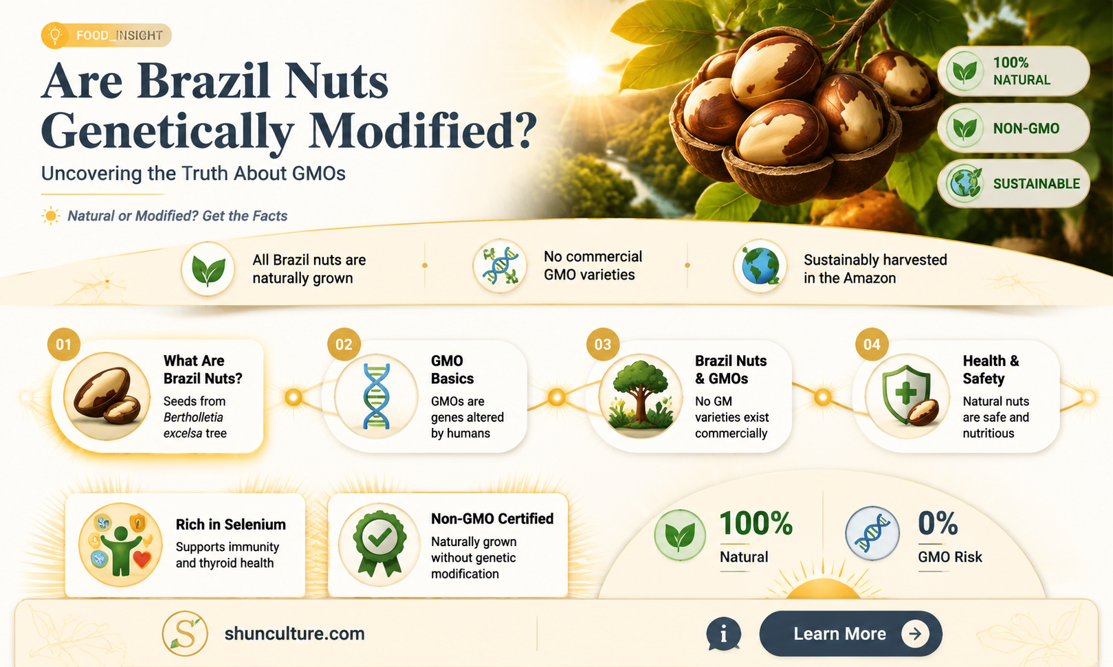 are brazil nuts gmo