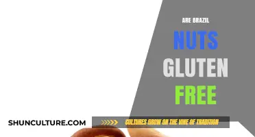 Are Brazil Nuts Gluten-Free? A Comprehensive Guide for Celiac Diets