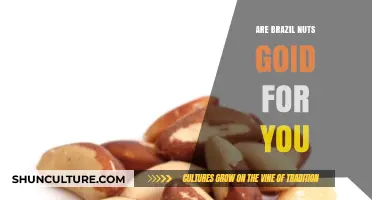 Brazil Nuts: Unlocking Their Health Benefits and Nutritional Power