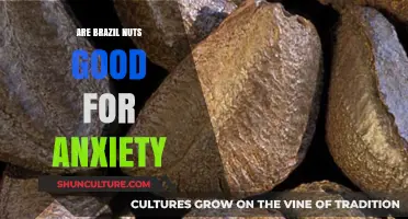 Brazil Nuts and Anxiety: Natural Relief or Nutty Myth?