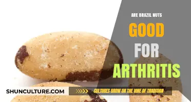 Brazil Nuts and Arthritis: Natural Relief or Nutty Myth?