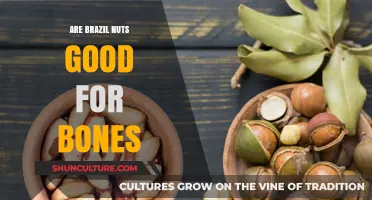 Boost Bone Health: Are Brazil Nuts a Nutrient-Rich Ally?