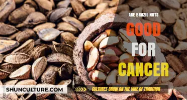 Brazil Nuts and Cancer: Unlocking Potential Health Benefits and Risks