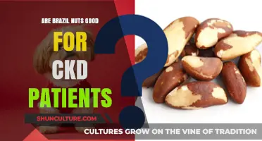Brazil Nuts and CKD: Benefits, Risks, and Kidney Health Tips