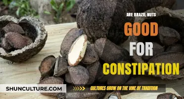 Brazil Nuts for Constipation Relief: Benefits and How to Use