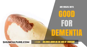 Brazil Nuts and Dementia: Unlocking Brain Health Benefits