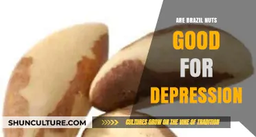 Brazil Nuts and Depression: Unlocking Mood-Boosting Benefits Naturally