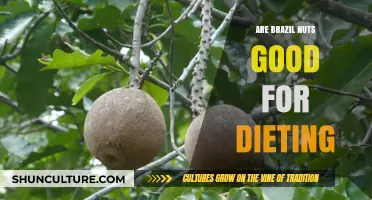 Brazil Nuts for Weight Loss: A Healthy Dieting Superfood?