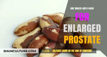 Brazil Nuts and Prostate Health: Benefits for Enlarged Prostate Explained